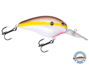 Dive Master 14