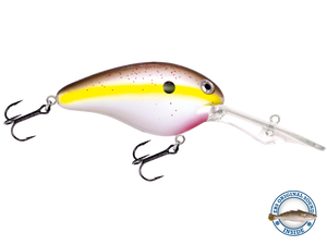 Dive Master 20