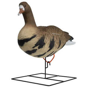 Rugged Series Full Body Specklebelly 6-pack