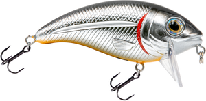 Bull Nose