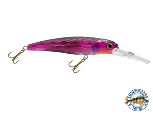 Voyager 15 Walleye