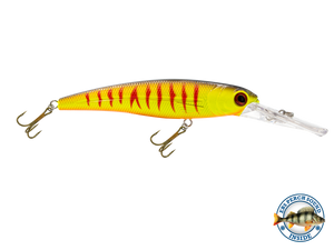 Voyager 15 Walleye