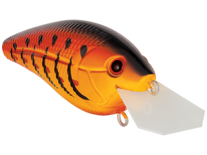 Primetyme CB 1.5