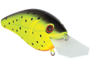Primetyme CB 1.5