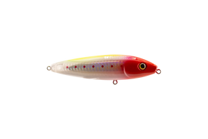 Gatto Loco Catfish Rig