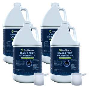 Drain and Fruit Fly Eliminator