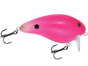 Pro Wake
