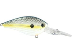 FlatMaster