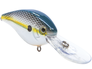 FlatMaster