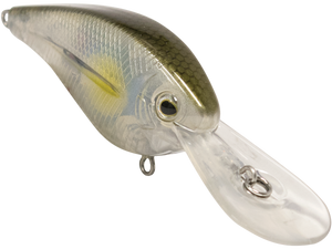 FlatMaster