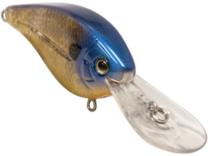 FlatMaster