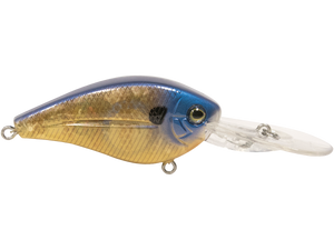 FlatMaster