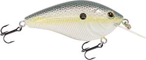 Primetyme CB 1.5