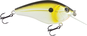 Primetyme CB 1.5
