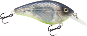 Primetyme CB 1.5