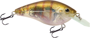 Primetyme CB 1.5