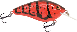 Primetyme CB 1.5