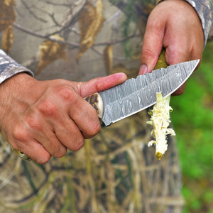 Custom Handmade Damascus Steel Skinner Knife with Sheep Horn Handle – 4.5" Blade