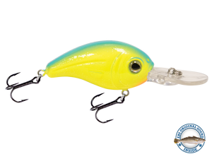 Dive Master Jr 8
