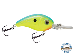 Dive Master Jr 8