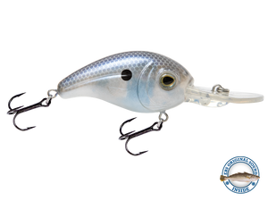 Dive Master Jr 8