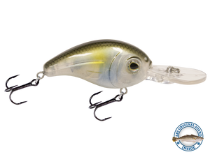 Dive Master Jr 8