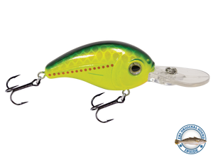 Dive Master Jr 8