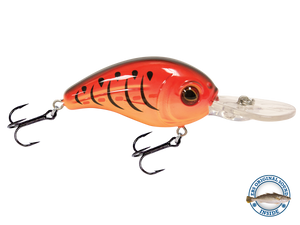 Dive Master Jr 8