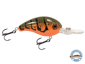 Dive Master Jr 8