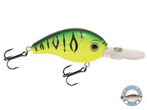 Dive Master Jr 8
