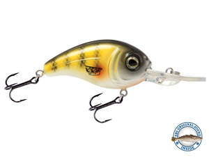 Dive Master Jr 8