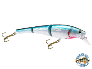 Head Hunter 6"