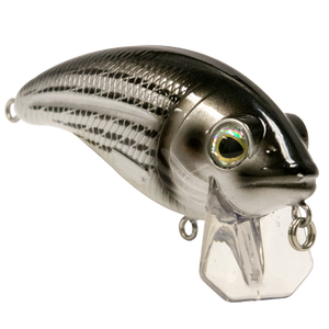 Bull Nose