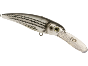 Voyager