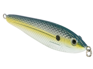 EBS Jigging Spoon