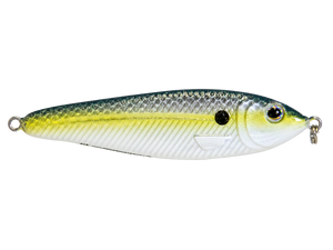 EBS Jigging Spoon
