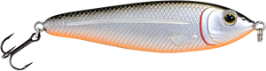 EBS Jigging Spoon
