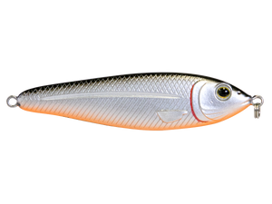 EBS Jigging Spoon