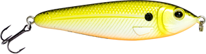 EBS Jigging Spoon