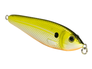 EBS Jigging Spoon