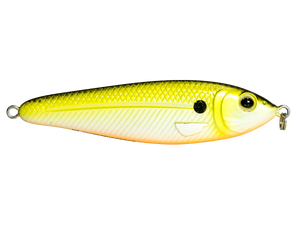 EBS Jigging Spoon