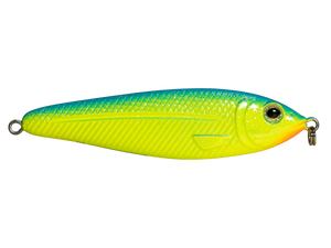 EBS Jigging Spoon