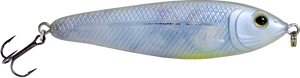EBS Jigging Spoon