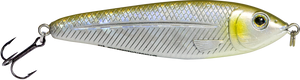 EBS Jigging Spoon