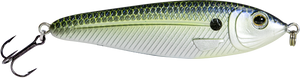 EBS Jigging Spoon