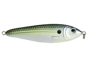 EBS Jigging Spoon