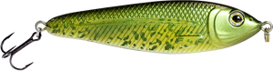 EBS Jigging Spoon