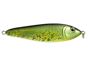 EBS Jigging Spoon