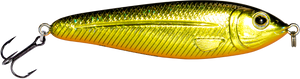 EBS Jigging Spoon
