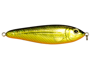 EBS Jigging Spoon
